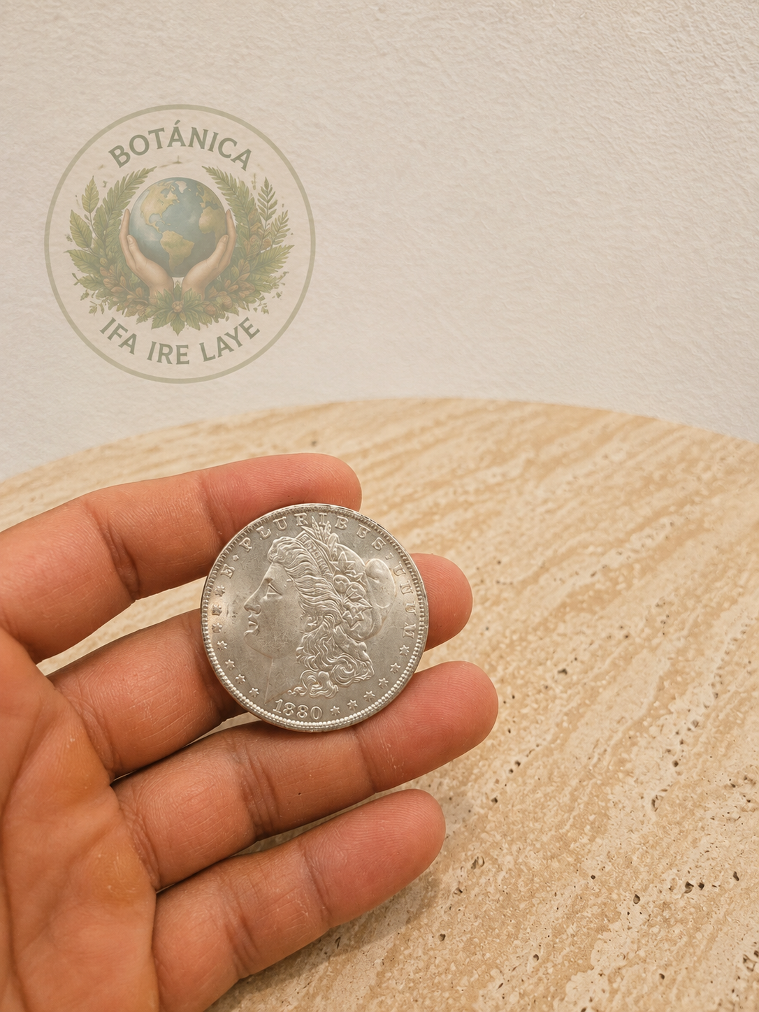 Moneda baño de plata
