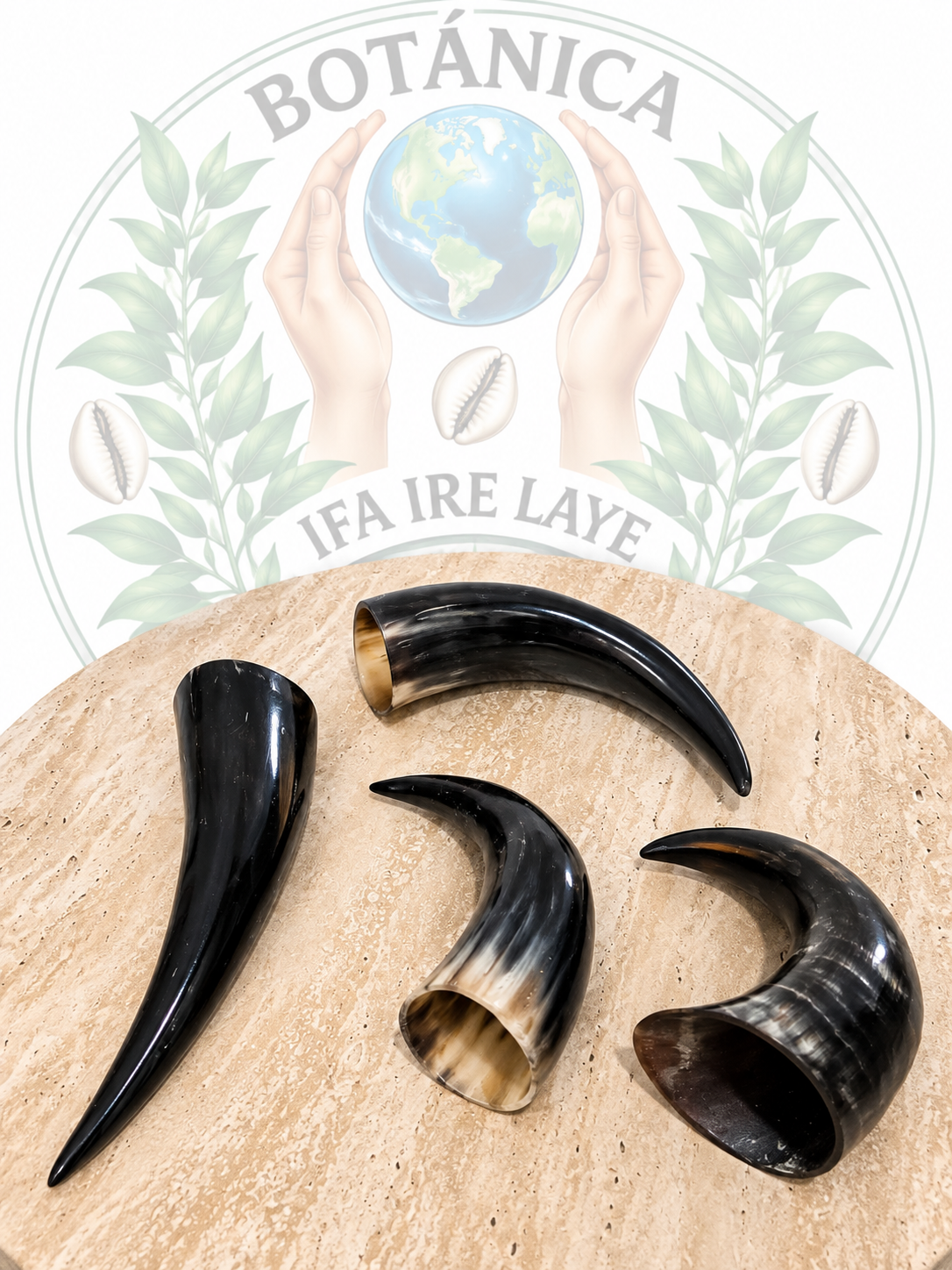 Tarros de Shango Medium